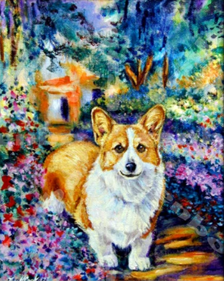 Corgi câine