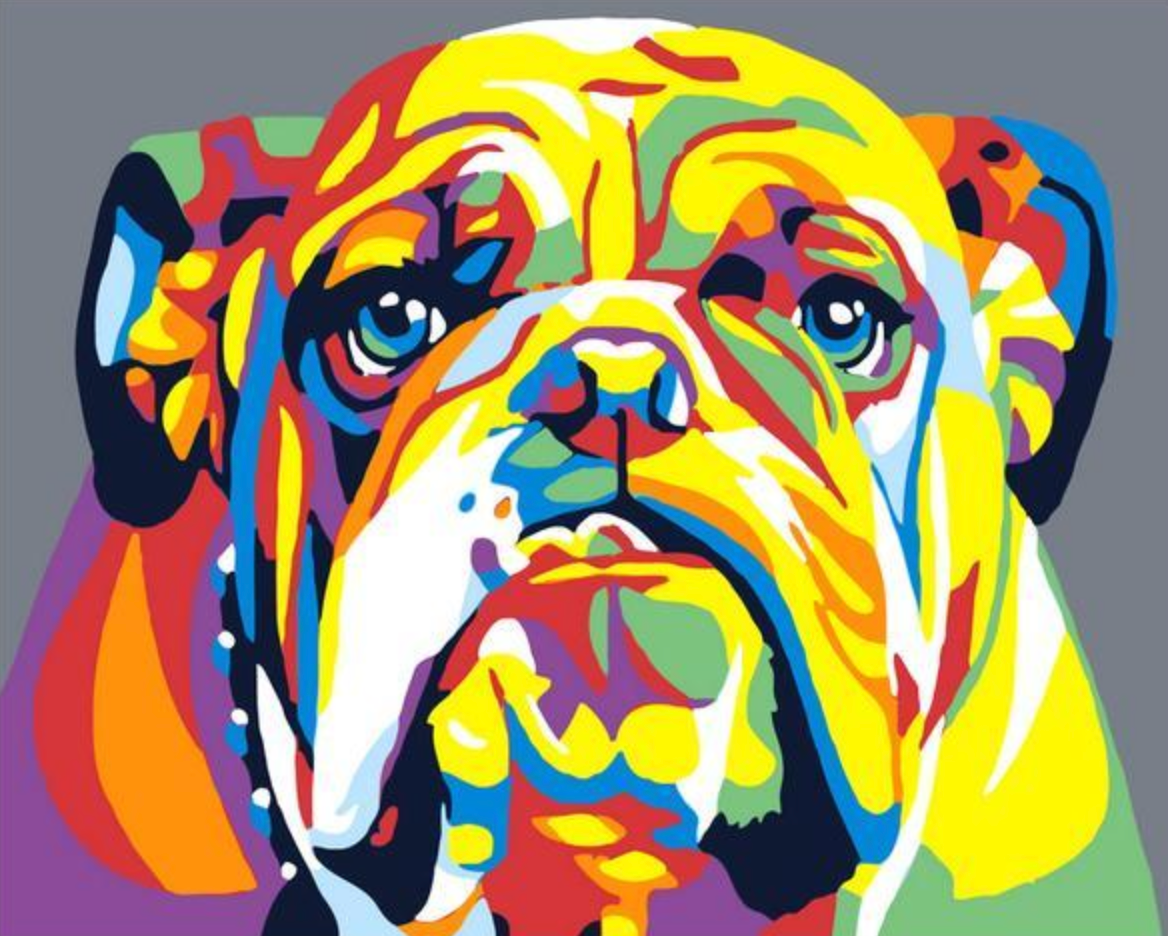 Bulldog colorat