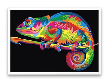 CHAMELEON colorat