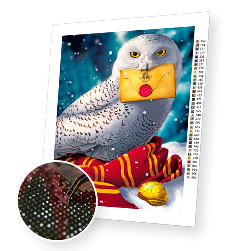 Owl with Letter  premium diamond painting kit for adults