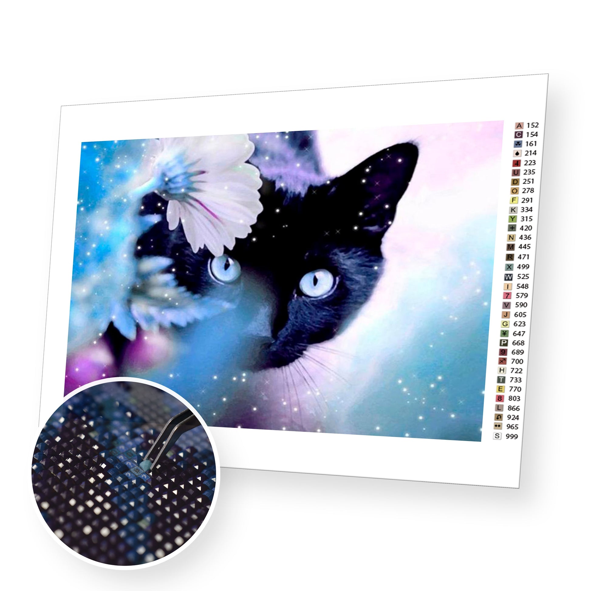 Black Cat premium diamond painting kit for adults