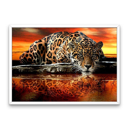 Leopard feroce
