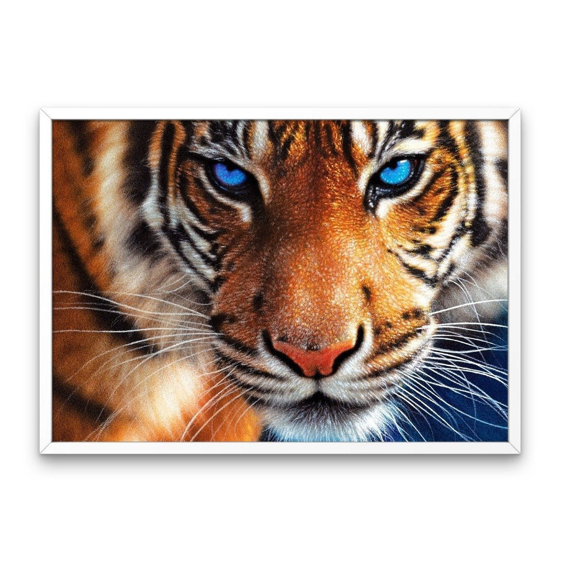 Tiger Close-up